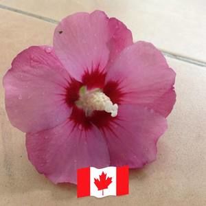 Meet your Posher, Rohini